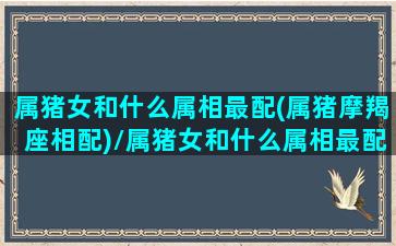 属猪女和什么属相最配(属猪摩羯座相配)/属猪女和什么属相最配(属猪摩羯座相配)-我的网站