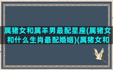 属猪女和属羊男最配星座(属猪女和什么生肖最配婚姻)(属猪女和属羊男的相配吗,婚姻状况怎么样)