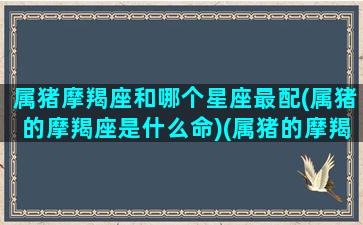 属猪摩羯座和哪个星座最配(属猪的摩羯座是什么命)(属猪的摩羯男配对)