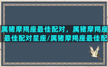 属猪摩羯座最佳配对，属猪摩羯座最佳配对星座/属猪摩羯座最佳配对，属猪摩羯座最佳配对星座-我的网站