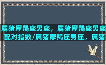 属猪摩羯座男座，属猪摩羯座男座配对指数/属猪摩羯座男座，属猪摩羯座男座配对指数-我的网站