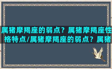 属猪摩羯座的弱点？属猪摩羯座性格特点/属猪摩羯座的弱点？属猪摩羯座性格特点-我的网站