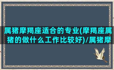 属猪摩羯座适合的专业(摩羯座属猪的做什么工作比较好)/属猪摩羯座适合的专业(摩羯座属猪的做什么工作比较好)-我的网站