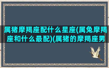 属猪摩羯座配什么星座(属兔摩羯座和什么最配)(属猪的摩羯座男生真正的性格)