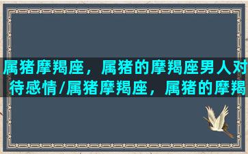 属猪摩羯座，属猪的摩羯座男人对待感情/属猪摩羯座，属猪的摩羯座男人对待感情-我的网站