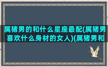 属猪男的和什么星座最配(属猪男喜欢什么身材的女人)(属猪男和哪个生肖绝配)