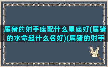 属猪的射手座配什么星座好(属猪的水命起什么名好)(属猪的射手座男负责么)