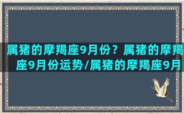 属猪的摩羯座9月份？属猪的摩羯座9月份运势/属猪的摩羯座9月份？属猪的摩羯座9月份运势-我的网站