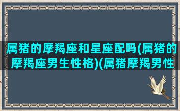 属猪的摩羯座和星座配吗(属猪的摩羯座男生性格)(属猪摩羯男性格恋爱特点)