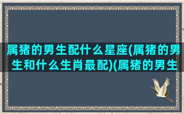 属猪的男生配什么星座(属猪的男生和什么生肖最配)(属猪的男生跟什么属相配)