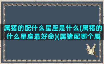 属猪的配什么星座是什么(属猪的什么星座最好命)(属猪配哪个属相)