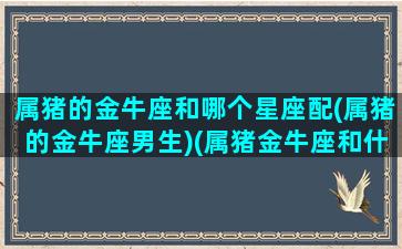 属猪的金牛座和哪个星座配(属猪的金牛座男生)(属猪金牛座和什么属相星座配)