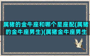 属猪的金牛座和哪个星座配(属猪的金牛座男生)(属猪金牛座男生致命弱点)