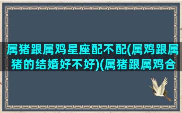 属猪跟属鸡星座配不配(属鸡跟属猪的结婚好不好)(属猪跟属鸡合不合)