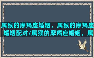 属猴的摩羯座婚姻，属猴的摩羯座婚姻配对/属猴的摩羯座婚姻，属猴的摩羯座婚姻配对-我的网站