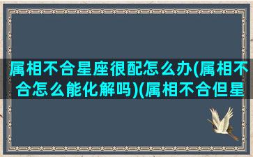 属相不合星座很配怎么办(属相不合怎么能化解吗)(属相不合但星座相合可以组合吗)