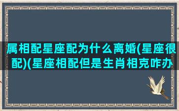 属相配星座配为什么离婚(星座很配)(星座相配但是生肖相克咋办)