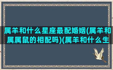 属羊和什么星座最配婚姻(属羊和属属鼠的相配吗)(属羊和什么生肖婚配最合适)