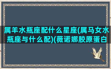 属羊水瓶座配什么星座(属马女水瓶座与什么配)(薇诺娜胶原蛋白液体敷料)