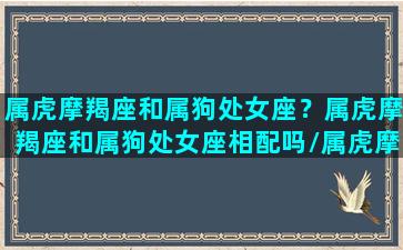 属虎摩羯座和属狗处女座？属虎摩羯座和属狗处女座相配吗/属虎摩羯座和属狗处女座？属虎摩羯座和属狗处女座相配吗-我的网站