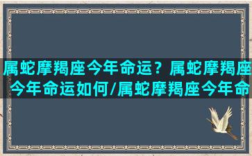 属蛇摩羯座今年命运？属蛇摩羯座今年命运如何/属蛇摩羯座今年命运？属蛇摩羯座今年命运如何-我的网站