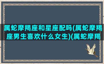 属蛇摩羯座和星座配吗(属蛇摩羯座男生喜欢什么女生)(属蛇摩羯男的性格特点)