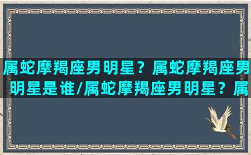 属蛇摩羯座男明星？属蛇摩羯座男明星是谁/属蛇摩羯座男明星？属蛇摩羯座男明星是谁-我的网站