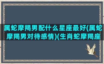 属蛇摩羯男配什么星座最好(属蛇摩羯男对待感情)(生肖蛇摩羯座男)