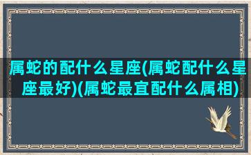 属蛇的配什么星座(属蛇配什么星座最好)(属蛇最宜配什么属相)