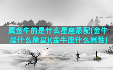 属金牛的是什么星座最配(金牛是什么象星)(金牛座什么属性)