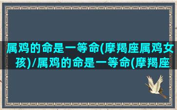 属鸡的命是一等命(摩羯座属鸡女孩)/属鸡的命是一等命(摩羯座属鸡女孩)-我的网站