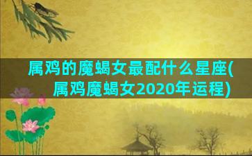 属鸡的魔蝎女最配什么星座(属鸡魔蝎女2020年运程)