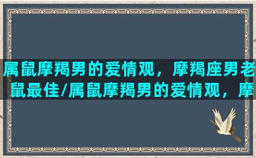 属鼠摩羯男的爱情观，摩羯座男老鼠最佳/属鼠摩羯男的爱情观，摩羯座男老鼠最佳-我的网站