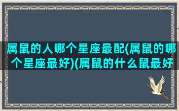 属鼠的人哪个星座最配(属鼠的哪个星座最好)(属鼠的什么鼠最好)