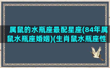 属鼠的水瓶座最配星座(84年属鼠水瓶座婚姻)(生肖鼠水瓶座性格)