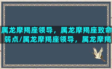 属龙摩羯座领导，属龙摩羯座致命弱点/属龙摩羯座领导，属龙摩羯座致命弱点-我的网站