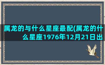 属龙的与什么星座最配(属龙的什么星座1976年12月21日出生)(属龙是什么星座1976年)