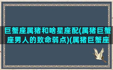 巨蟹座属猪和啥星座配(属猪巨蟹座男人的致命弱点)(属猪巨蟹座的婚姻)