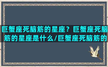 巨蟹座死脑筋的星座？巨蟹座死脑筋的星座是什么/巨蟹座死脑筋的星座？巨蟹座死脑筋的星座是什么-我的网站