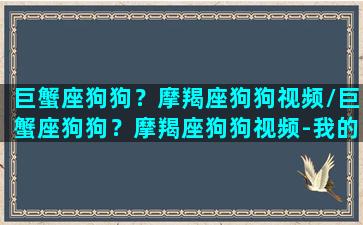 巨蟹座狗狗？摩羯座狗狗视频/巨蟹座狗狗？摩羯座狗狗视频-我的网站(巨蟹座星座狗)