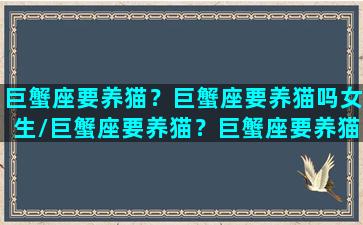 巨蟹座要养猫？巨蟹座要养猫吗女生/巨蟹座要养猫？巨蟹座要养猫吗女生-我的网站