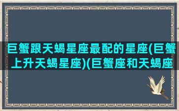 巨蟹跟天蝎星座最配的星座(巨蟹上升天蝎星座)(巨蟹座和天蝎座的匹配是多少)