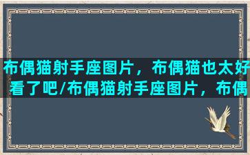 布偶猫射手座图片，布偶猫也太好看了吧/布偶猫射手座图片，布偶猫也太好看了吧-我的网站