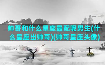 帅哥和什么星座最配呢男生(什么星座出帅哥)(帅哥星座头像)