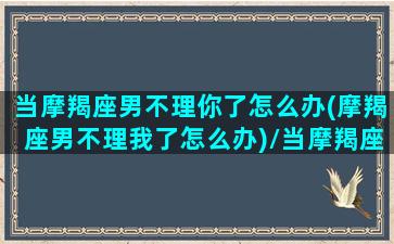 当摩羯座男不理你了怎么办(摩羯座男不理我了怎么办)/当摩羯座男不理你了怎么办(摩羯座男不理我了怎么办)-我的网站