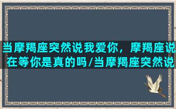 当摩羯座突然说我爱你，摩羯座说在等你是真的吗/当摩羯座突然说我爱你，摩羯座说在等你是真的吗-我的网站