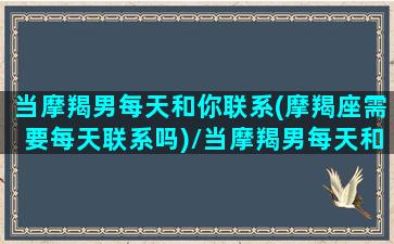 当摩羯男每天和你联系(摩羯座需要每天联系吗)/当摩羯男每天和你联系(摩羯座需要每天联系吗)-我的网站