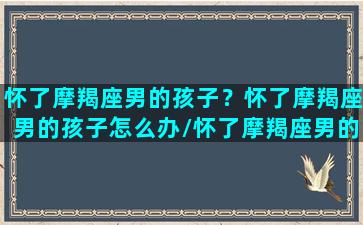 怀了摩羯座男的孩子？怀了摩羯座男的孩子怎么办/怀了摩羯座男的孩子？怀了摩羯座男的孩子怎么办-我的网站