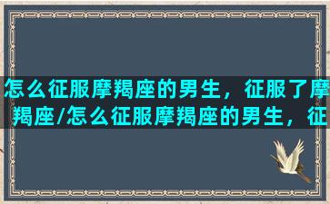 怎么征服摩羯座的男生，征服了摩羯座/怎么征服摩羯座的男生，征服了摩羯座-我的网站