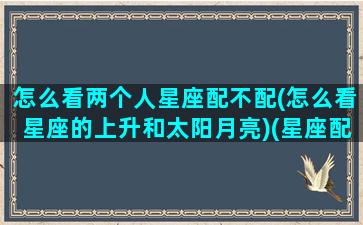 怎么看两个人星座配不配(怎么看星座的上升和太阳月亮)(星座配对看上升星座还是太阳星座)